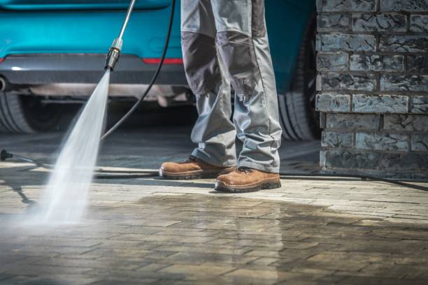 Best Driveway Pressure Washing  in Flatwoods, KY