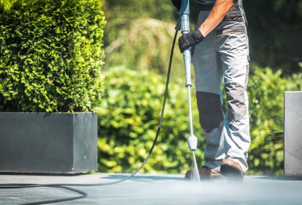 Best Roof Washing  in Flatwoods, KY