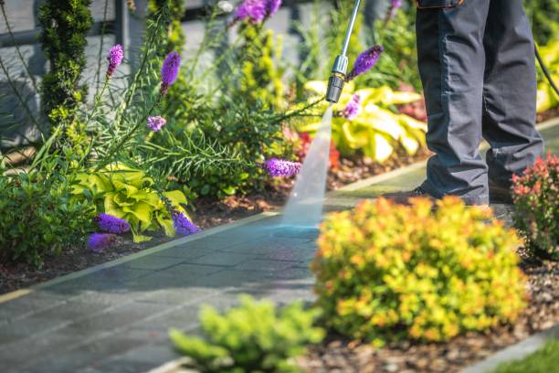 Best Boat and Dock Cleaning  in Flatwoods, KY
